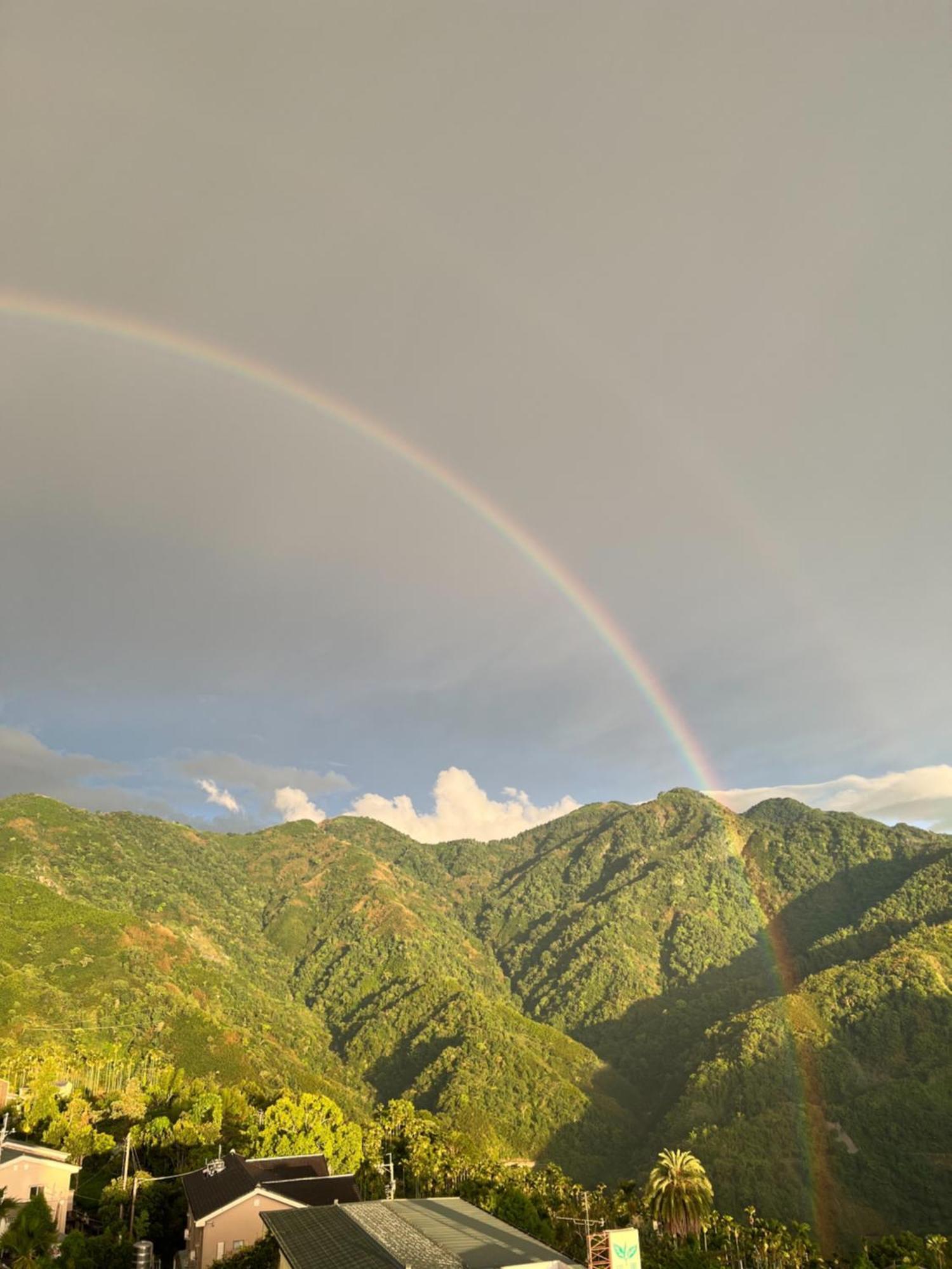 Gaodiyuan Tea B&B 高帝園茶業民宿 Meishan Екстер'єр фото