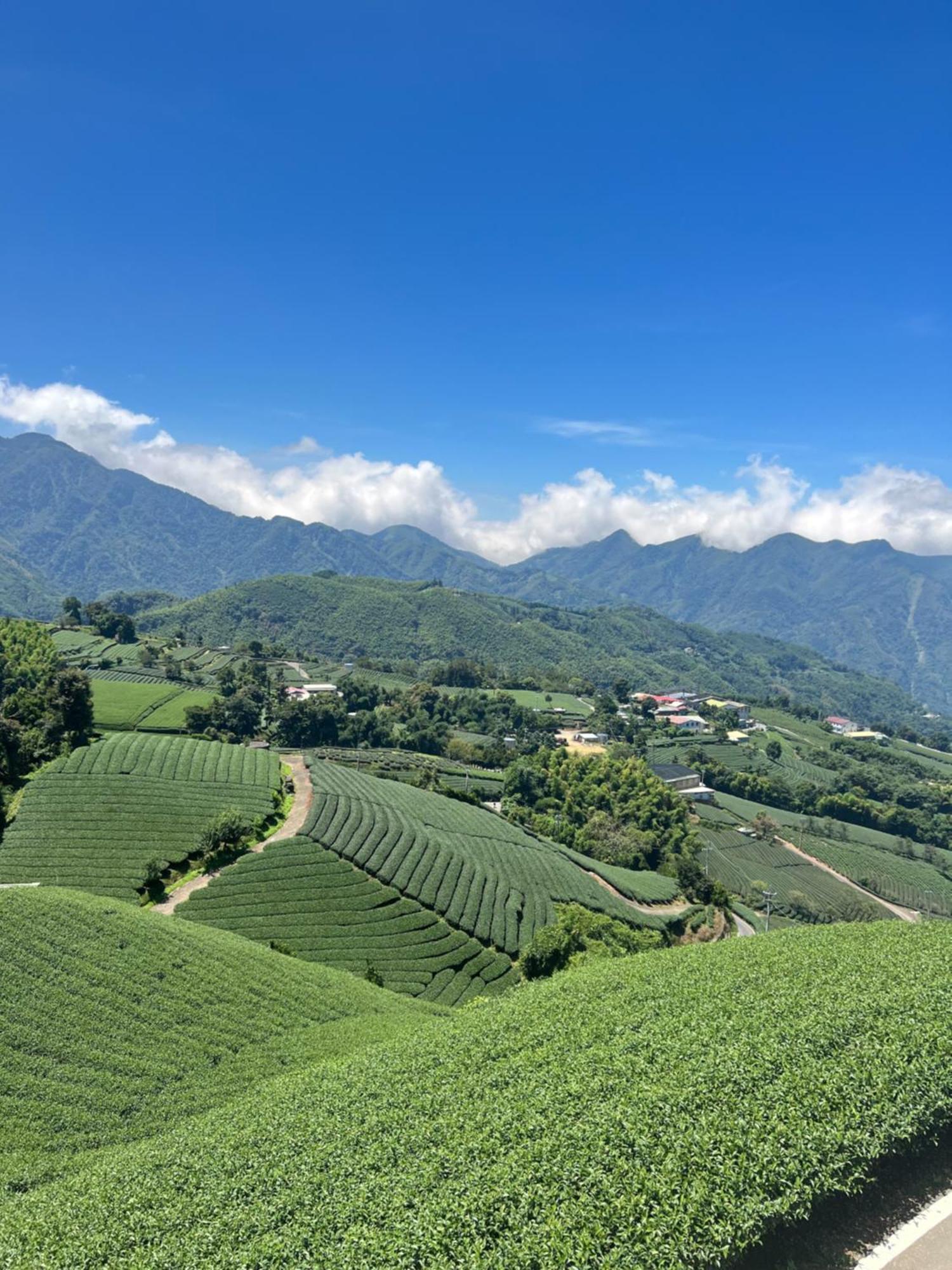 Gaodiyuan Tea B&B 高帝園茶業民宿 Meishan Екстер'єр фото