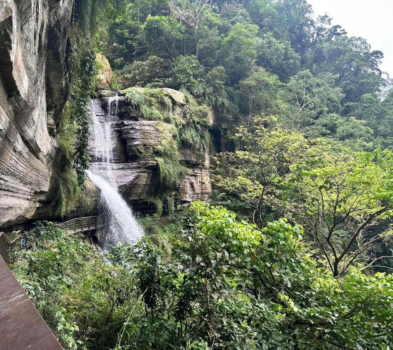 Gaodiyuan Tea B&B 高帝園茶業民宿 Meishan Екстер'єр фото