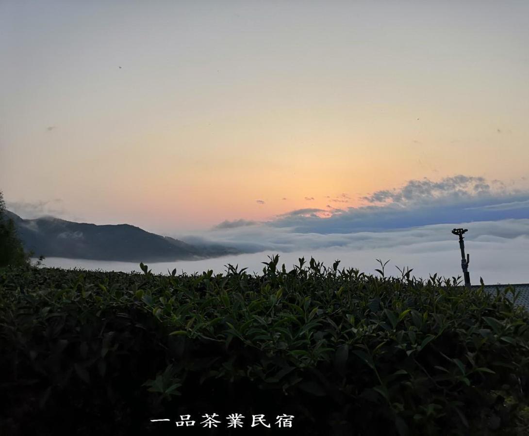 Gaodiyuan Tea B&B 高帝園茶業民宿 Meishan Екстер'єр фото